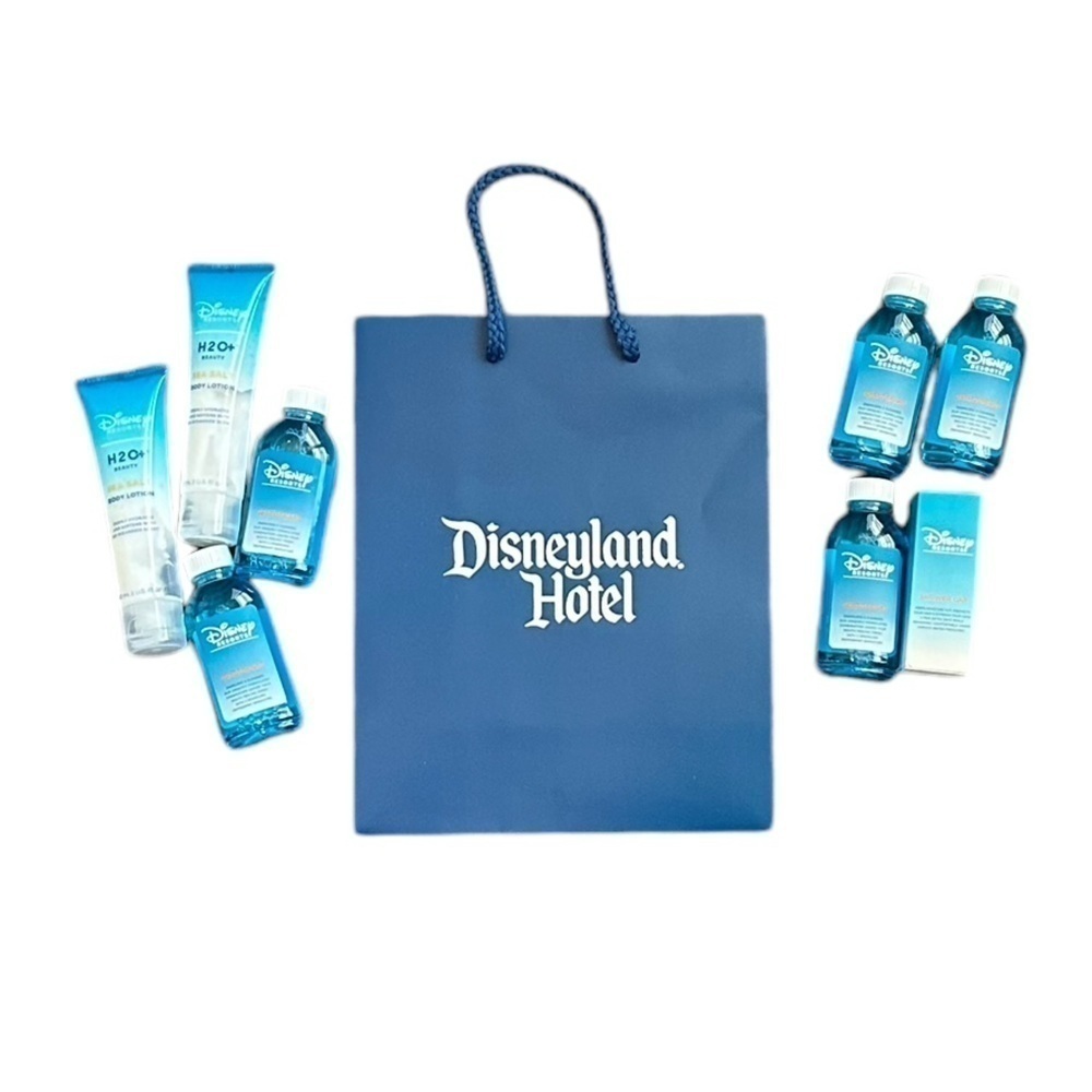NEW Disneyland Resort Bag and H20 Toiletries Set - Picture 1 of 3